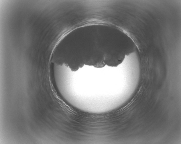 X0000051881415200507221937