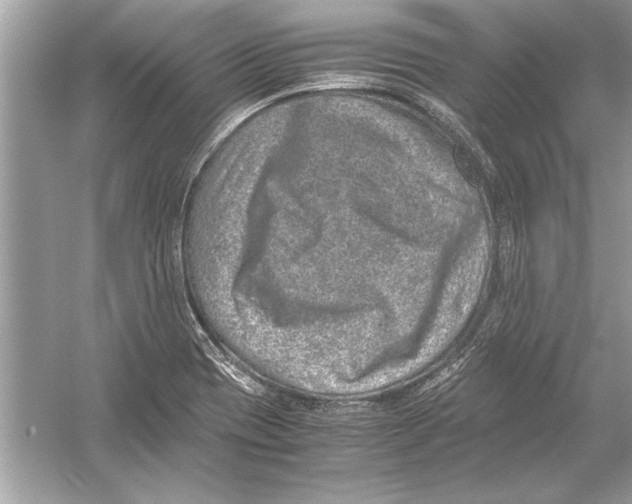 X0000051881417200507221937