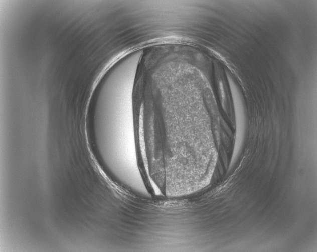 X0000051881418200507221938