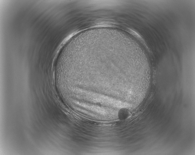 X0000051881419200507221938