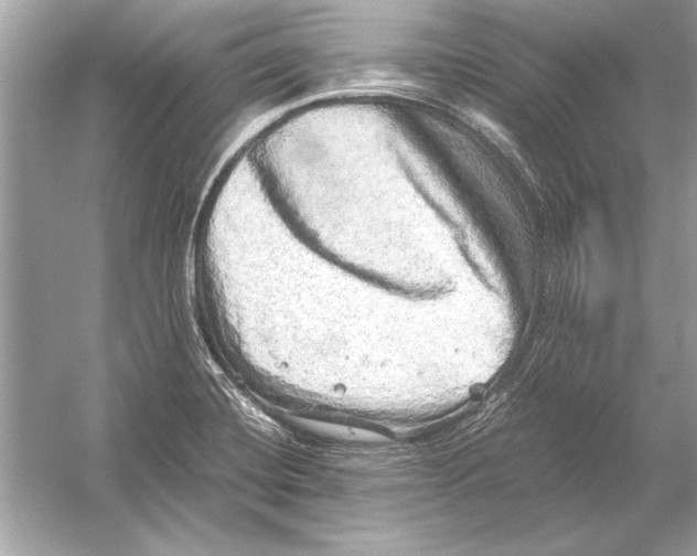 X0000051881420200507221938