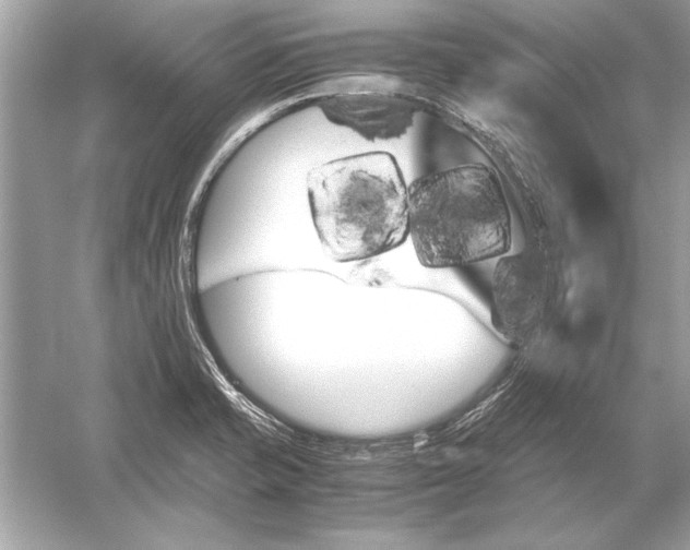 X0000051881421200507221938