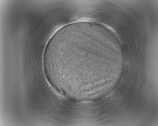 X0000051881423200507221938