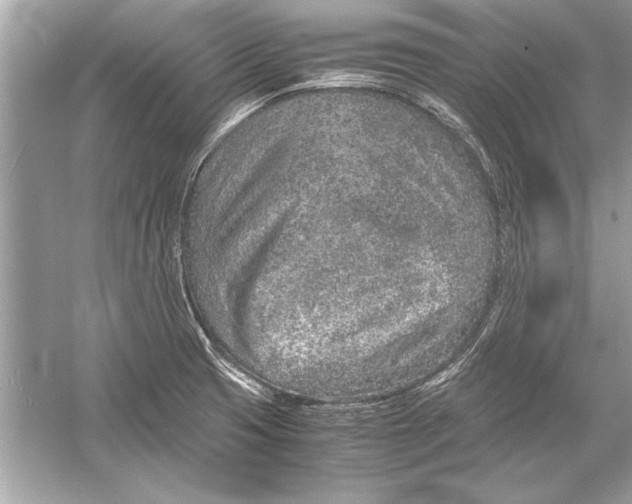 X0000051881425200507221938