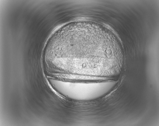 X0000051881429200507221938