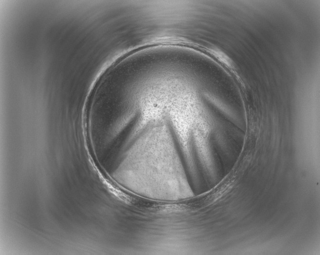 X0000051881430200507221938