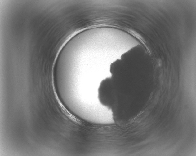 X0000051881431200507221938