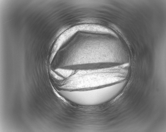 X0000051881433200507221938