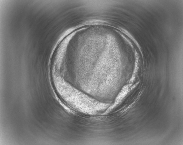 X0000051881437200507221938