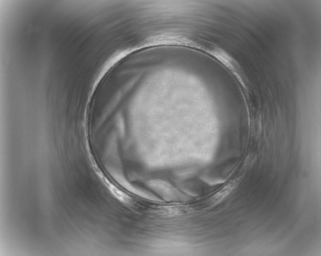 X0000051881438200507221938