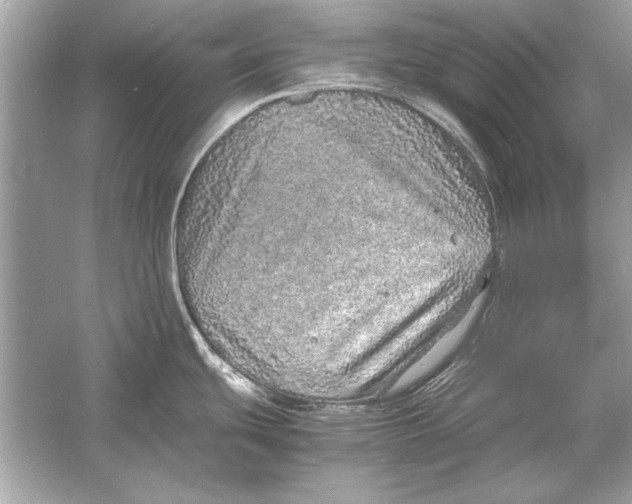 X0000051881439200507221938