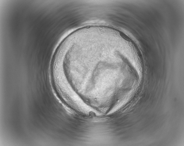 X0000051881440200507221938