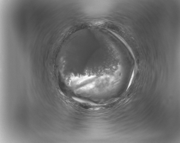 X0000051881441200507221937