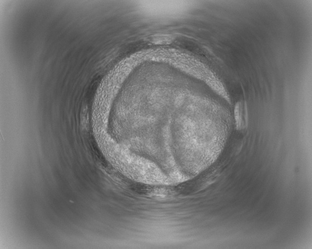 X0000051881443200507221937