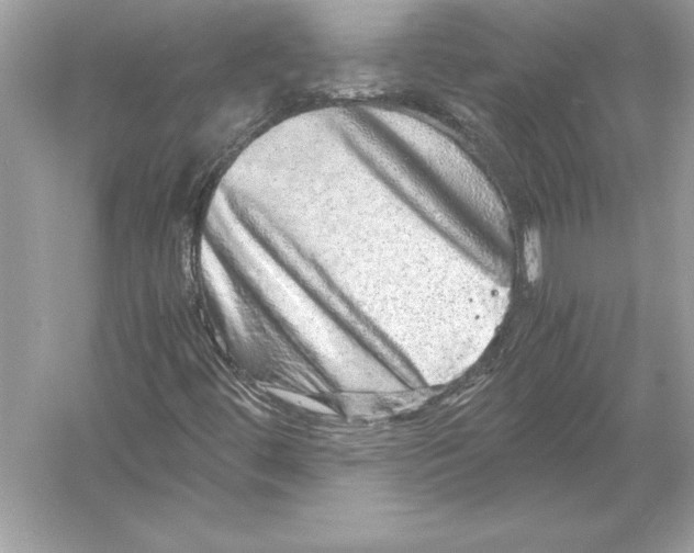 X0000051881444200507221937