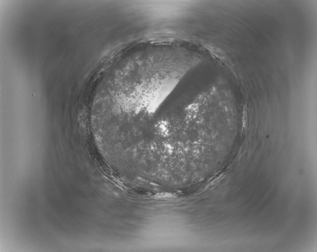 X0000051881445200507221937