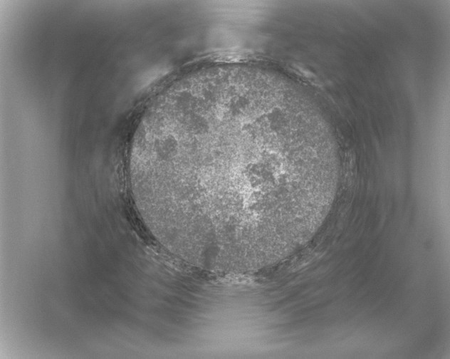 X0000051881446200507221937