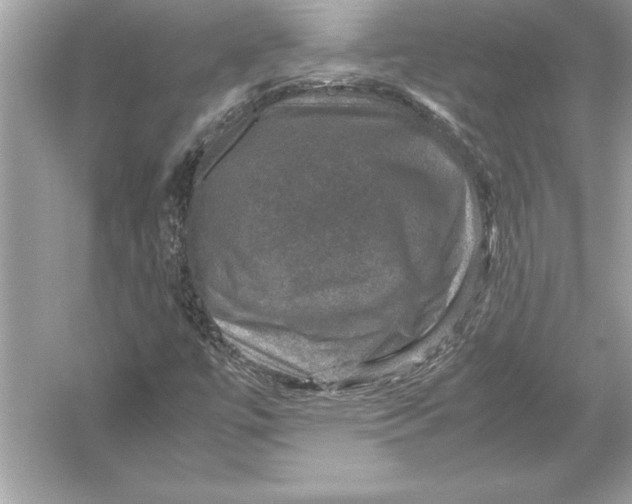 X0000051881447200507221937