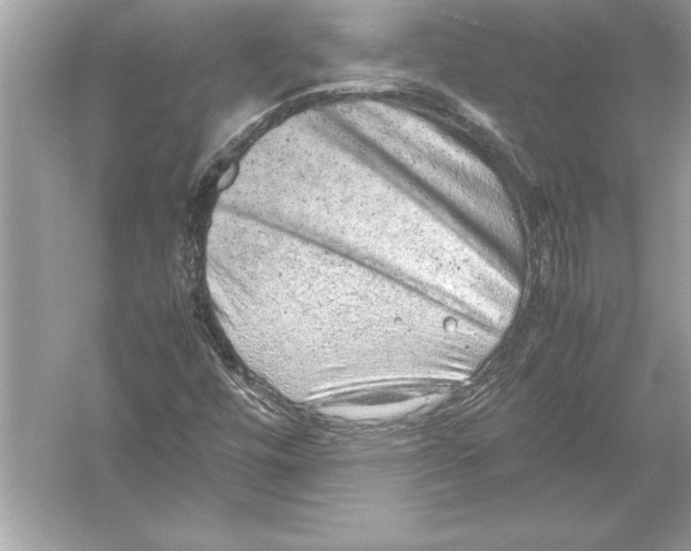 X0000051881448200507221937