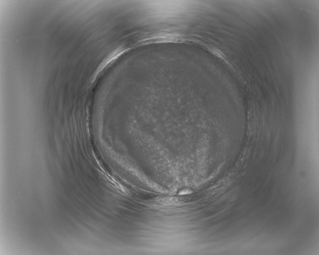 X0000051881450200507221937