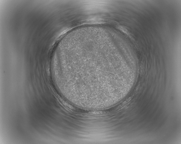 X0000051881451200507221937