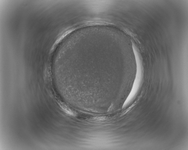 X0000051881453200507221937