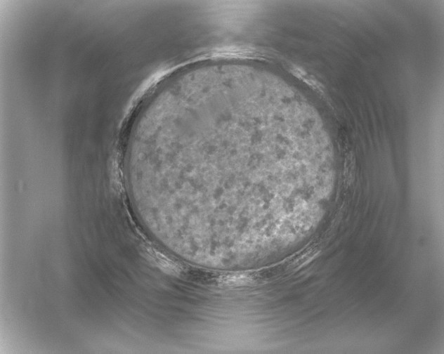 X0000051881454200507221937