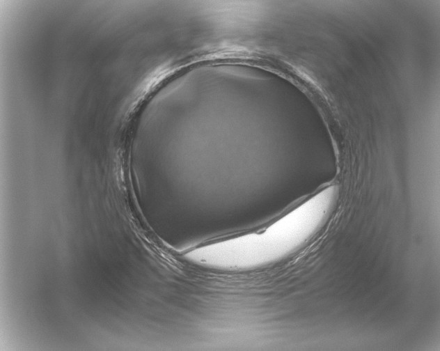 X0000051881455200507221937