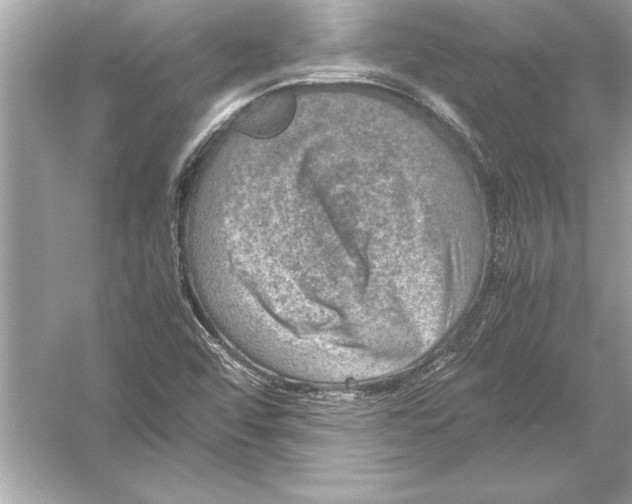 X0000051881456200507221937