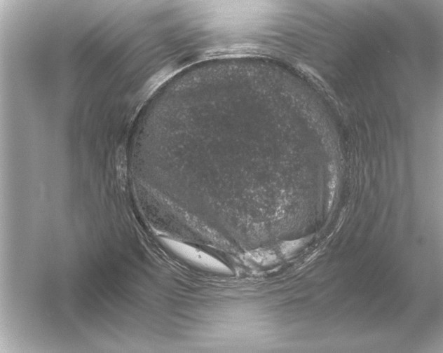 X0000051881457200507221937