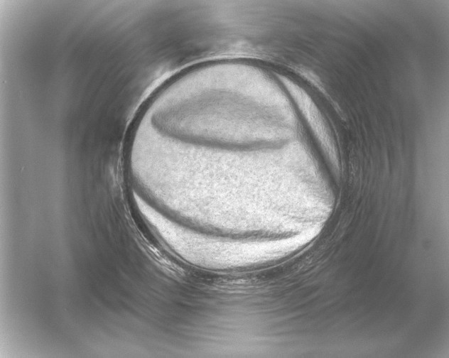 X0000051881460200507221937