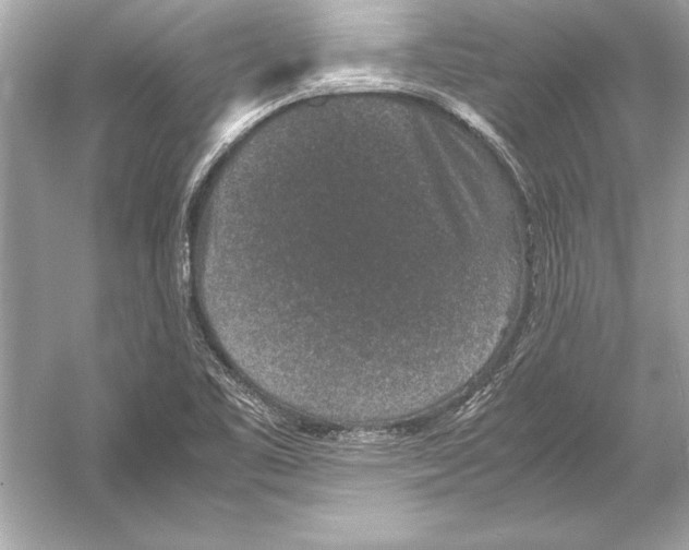 X0000051881461200507221937