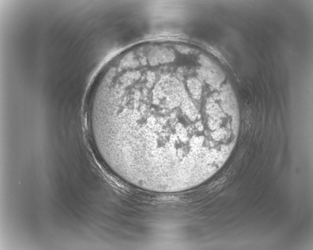 X0000051881462200507221937