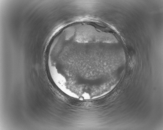 X0000051881463200507221937