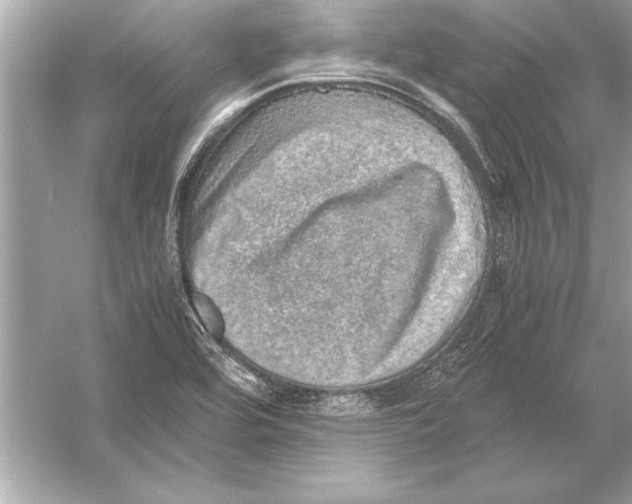 X0000051881464200507221937