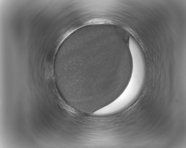 X0000051881465200507221937