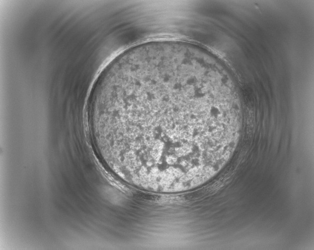 X0000051881466200507221937