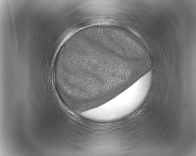 X0000051881467200507221937