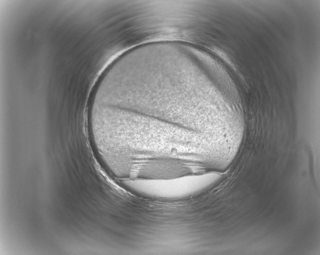 X0000051881468200507221937