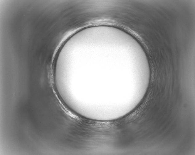 X0000051881470200507221937