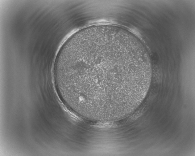 X0000051881474200507221937