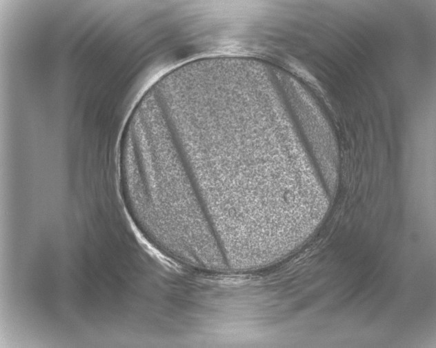 X0000051881479200507221936