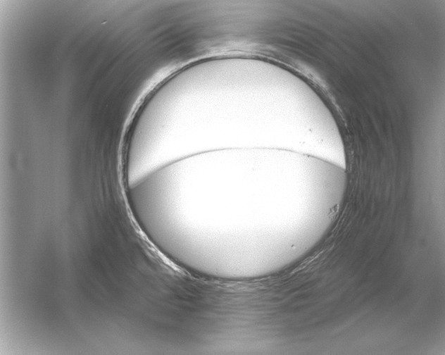 X0000051881480200507221936