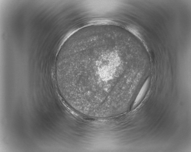 X0000051881481200507221936