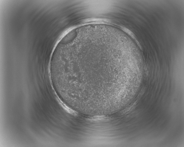 X0000051881482200507221936