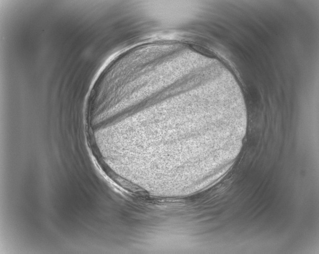 X0000051881483200507221936