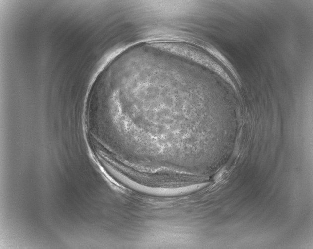 X0000051881485200507221936