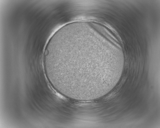 X0000051881486200507221936