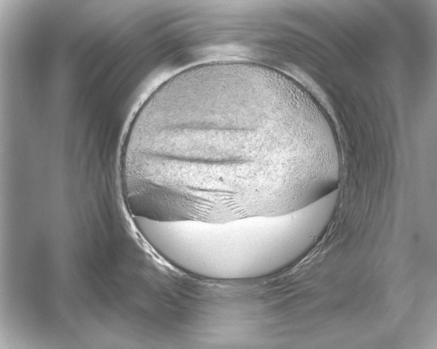 X0000051881488200507221936