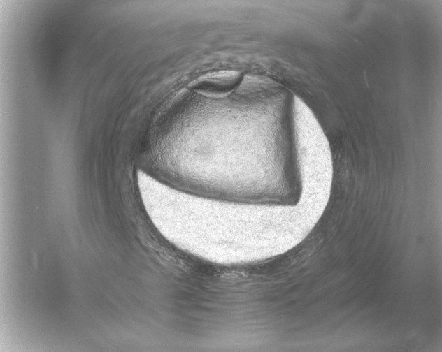 X0000051881489200507221935